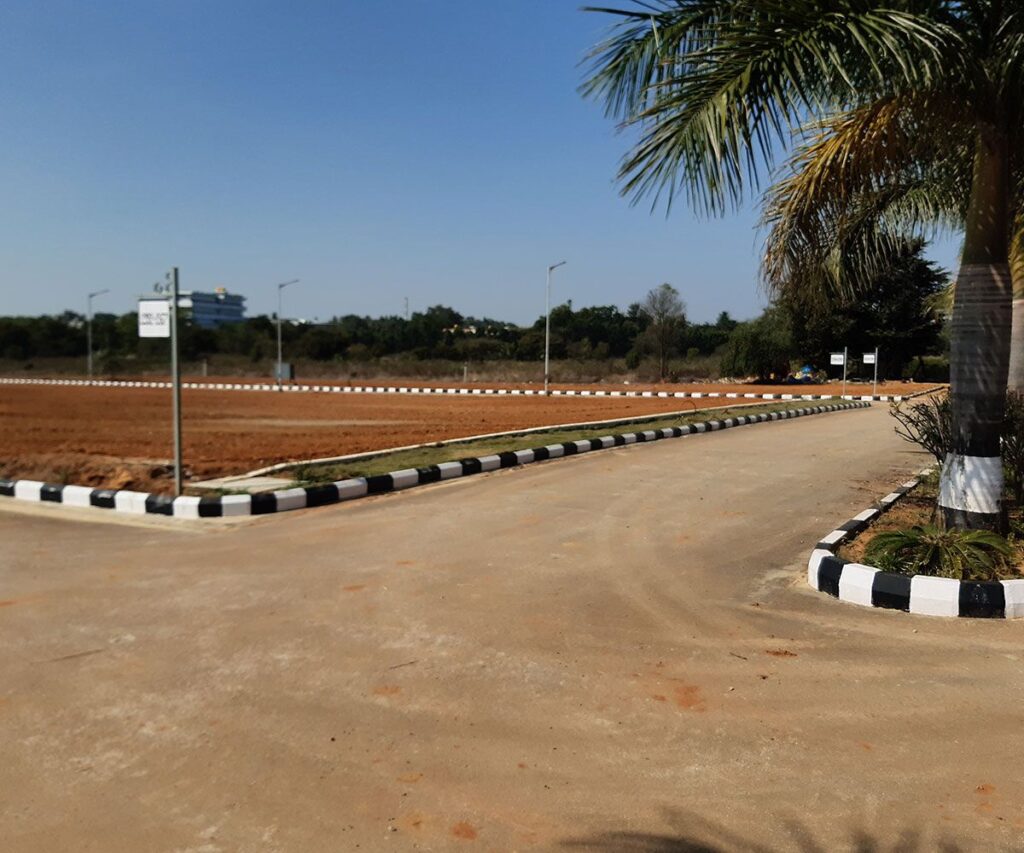 Residential plotted development with a paved internal road, landscaped palm trees, open plots, streetlights, and black-and-white curbs under a clear blue sky