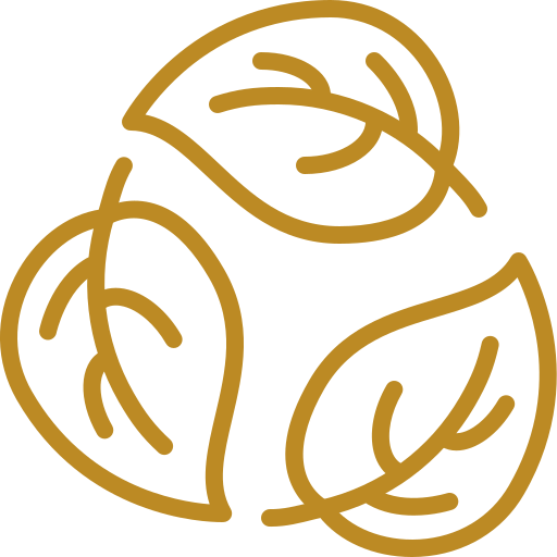 Peaceful environment icon